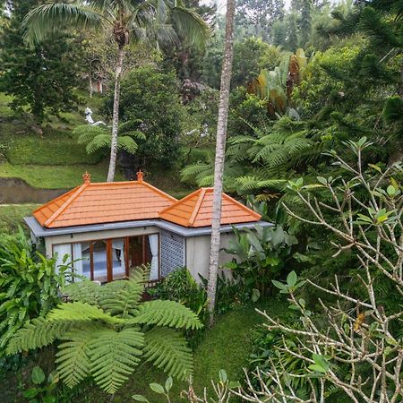 Tjendana Kanaka Jungle Resort Ubud Екстер'єр фото